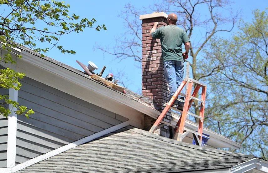 Chimney & Fireplace Inspections Services in Forest Park, GA